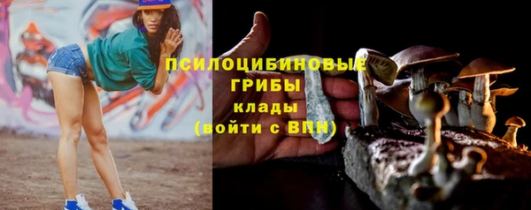 трава Бородино