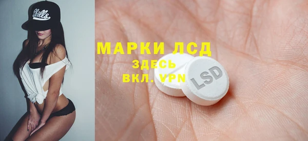 трава Бородино