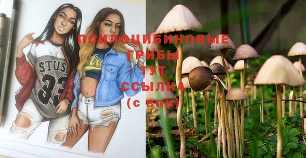 трава Бородино
