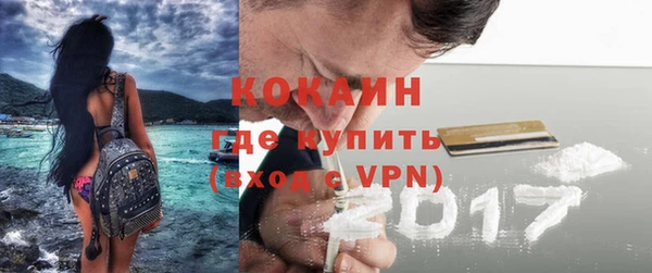 трава Бородино