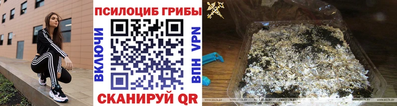 Галлюциногенные грибы MAGIC MUSHROOMS  купить закладку  дарк нет состав  Нижний Новгород 